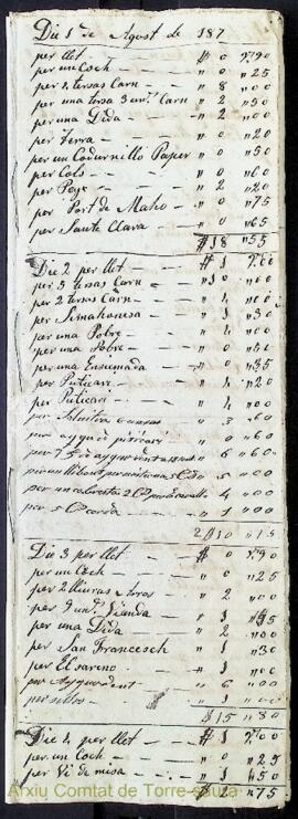 Justificativos de las cuentas del gasto de la casa desde el dia 1º de Julio de 1878 hasta 30 de J...