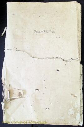 Actes i acords de les reunions de la junta de propietaris de les cavalleries de Ciutadella, Maó i...