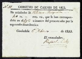 Justificants i rebuts de compres i despeses diverses corresponents als anys 1852 i 1853, que incl...