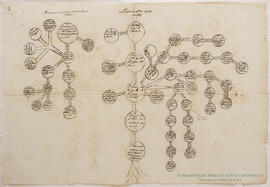 Descendencia de los Señores Martins / Descendencia de Dna. Maria Anna Cardona (arbre genealògic)